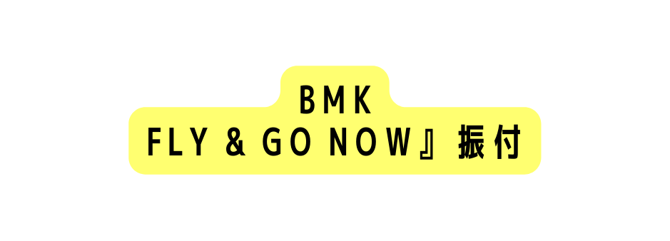 BMK FLY GO NOW 振付